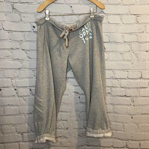 Hollister Sweatpants Low-Rise Joggers (Size L)